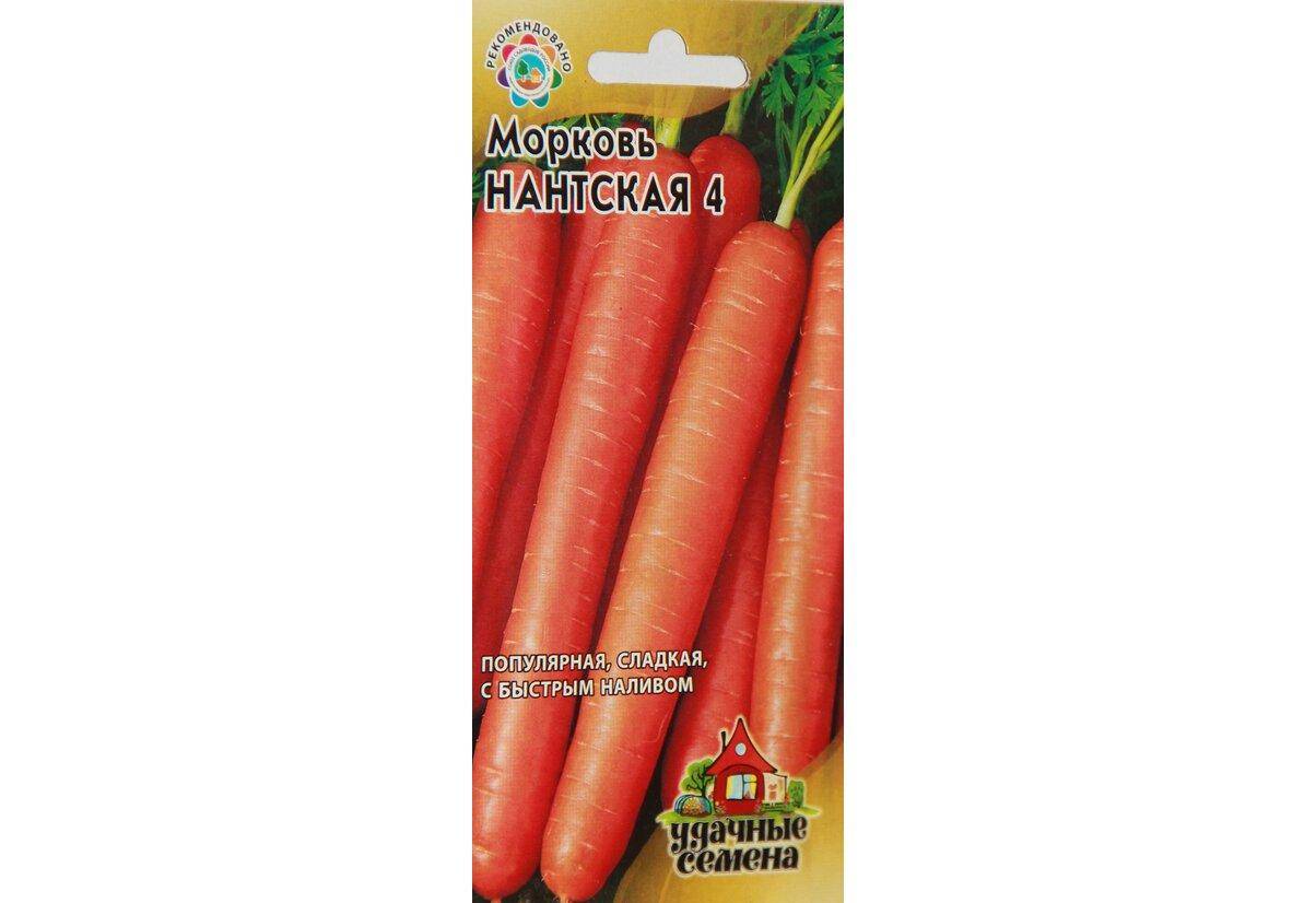 Морковь нантская 4: описание сорта, фото, характеристика