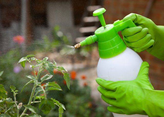 Мочевина (карбамид) — удобрение и защита растений, применение на огороде