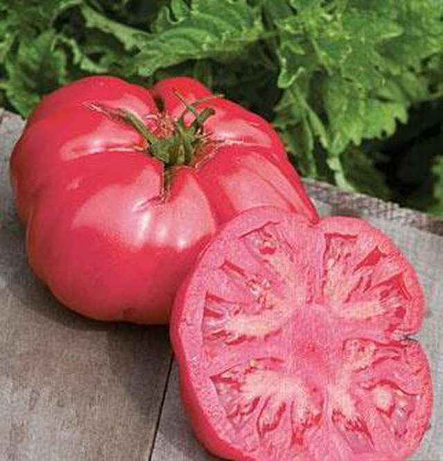 Томат “розовое чудо”: характеристика и описание сорта, отзывы, урожайность – все о помидорках