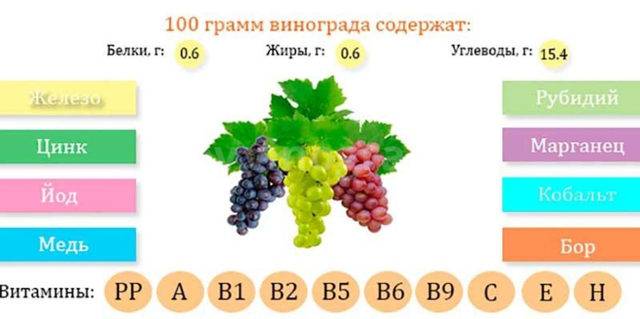Калорийность винограда: красный, черный, зеленый