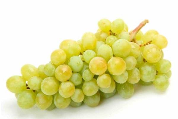 Виноград — польза и вред для здоровья организма