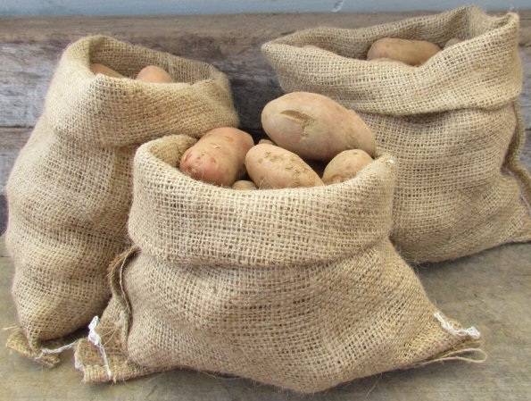 Можно ли употреблять в пищу зеленый картофель отравление.ру
можно ли употреблять в пищу зеленый картофель
