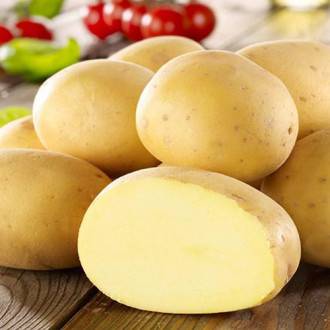 Сорт картофеля любава: описание, посадка и уход русский фермер