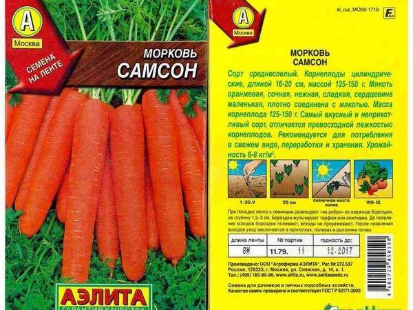 Сорта моркови для сибири