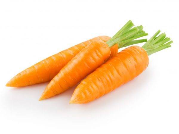 Морковь «самсон»: описание сорта, фото и отзывы