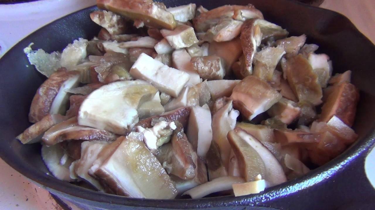 Как заморозить белые грибы на зиму в морозилке : рецепты
