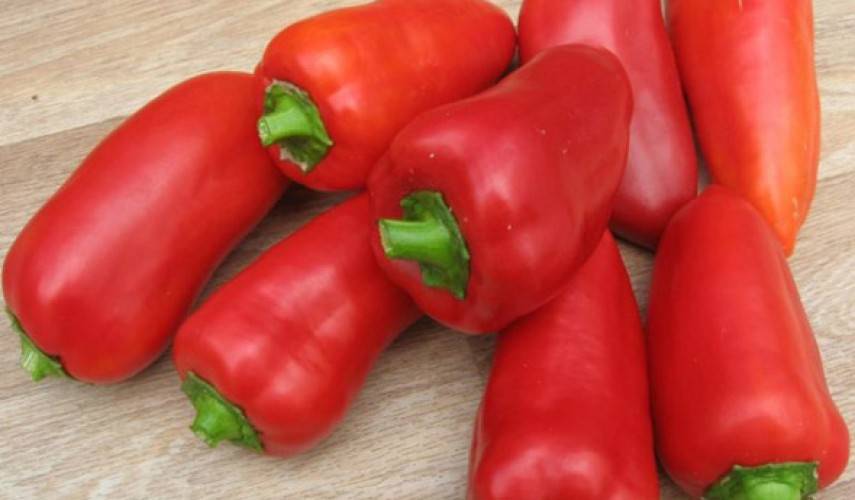 Сорт, требующий больших усилий для урожая — перец джипси f1: полное описание