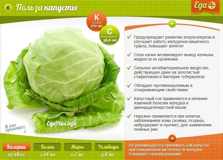 Переедание овощами: чеснока, лука, капусты, моркови | компетентно о здоровье на ilive