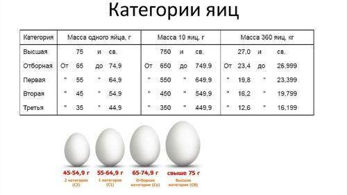 Вес куриного яйца без скорлупы. средний вес яиц куриных