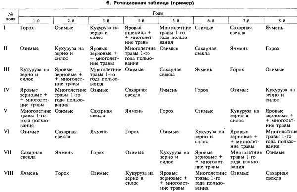 План освоения севооборота