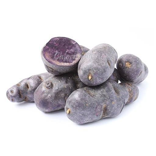 Сорта фиолетового картофеля: название картошки с кожурой фиалкового цвета и белой мякотью внутри, фото, описание других видов, в том числе таких как сирень и аметист