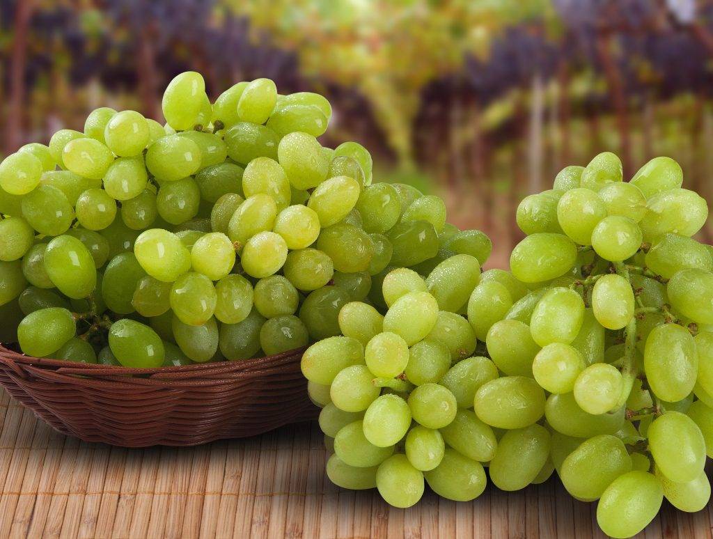 Калорийность Зеленого винограда