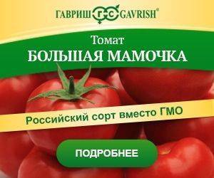 Ранний сорт томатов большая мамочка