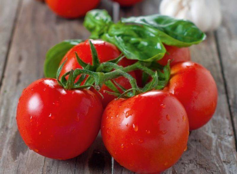 Лучшие сорта томатов для подмосковья: для теплицы и открытого грунта