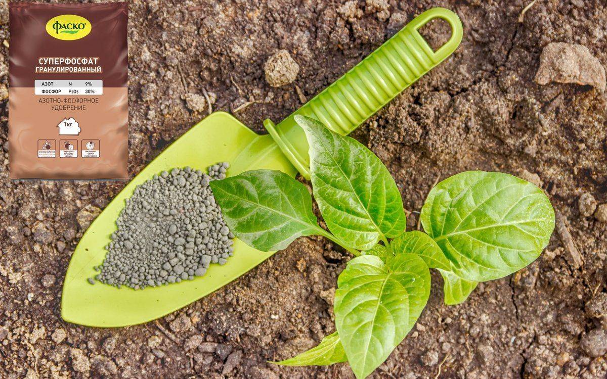 Применение фосфорно-калийных удобрений: как вносить осенью, виды, какие к ним относятся