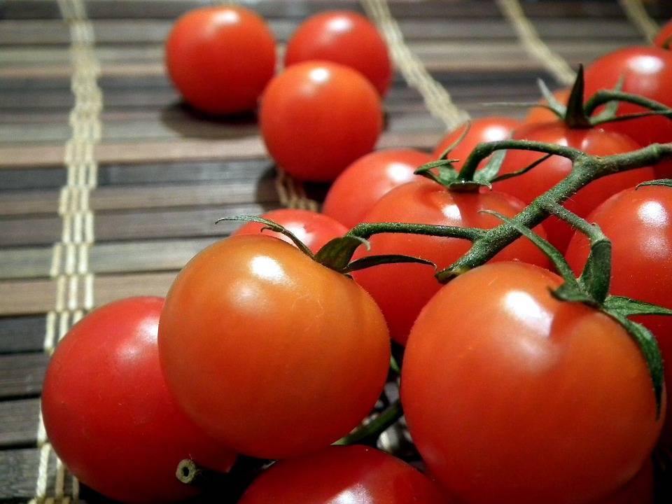Сроки, когда сажать на рассаду помидоры для подмосковья и 2021 года лунный календарь посева