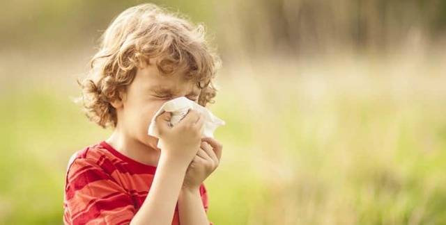 Причины аллергии на домашнюю пыль у детей и взрослых: как помочь аллергику выжить в собственном доме