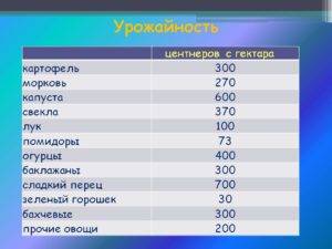 ᐉ урожайность картофеля с 1 га в россии и мире – анализ - roza-zanoza.ru