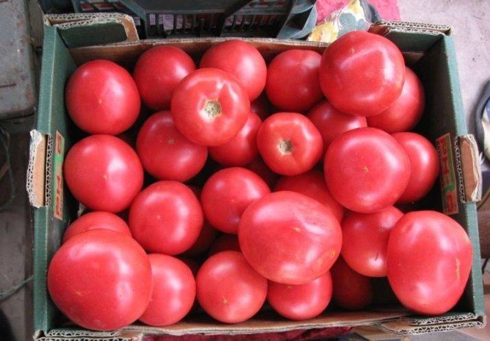 Какие розовые томаты имеют высокую урожайность?