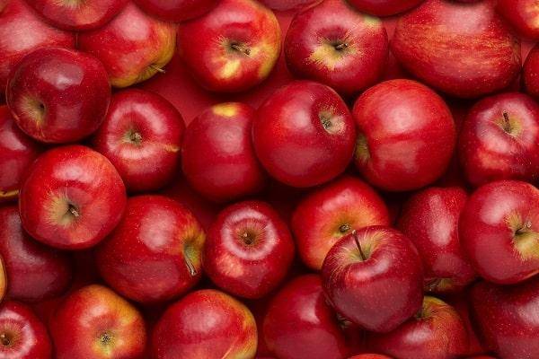 Эти яблоки любят во всем мире — сорт джонатан