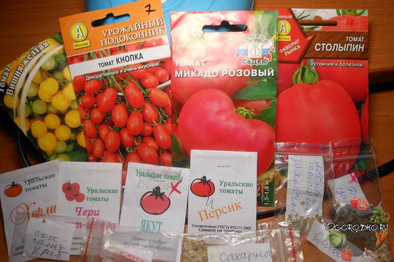 Как и когда сажать семена помидоров на рассаду в домашних условиях
