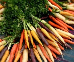 Морковь сорта для сибири