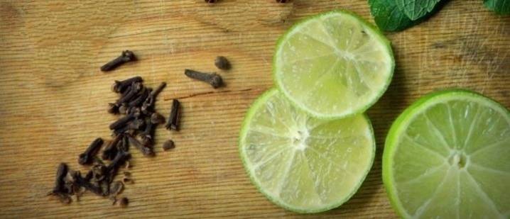 Как можно использовать лимон и гвоздику от комаров - агро журнал dachnye-fei.ru