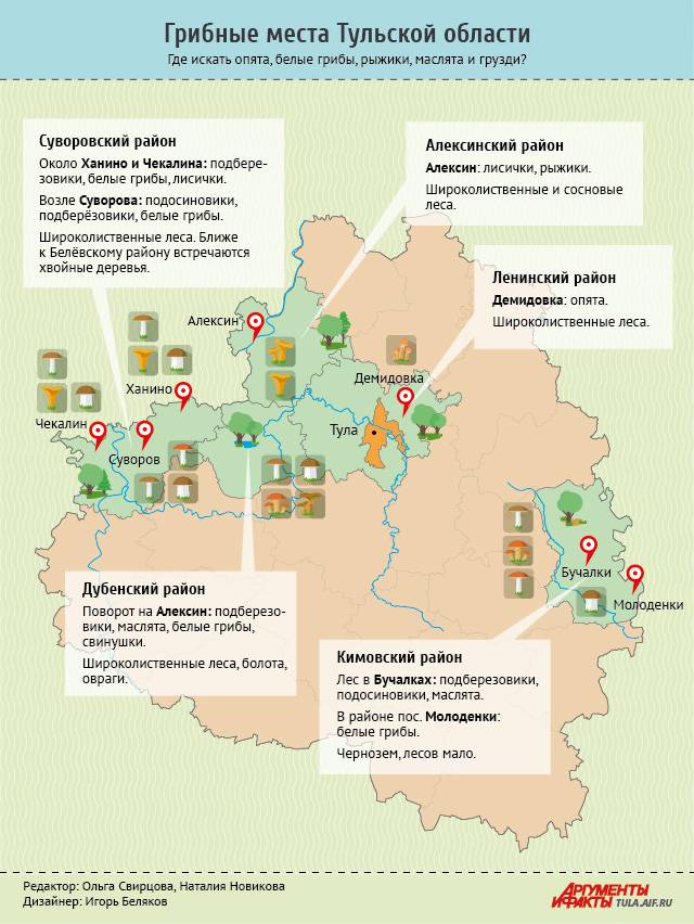 Грибы рязанской области в 2021 году: лучшие места и сезон сбора