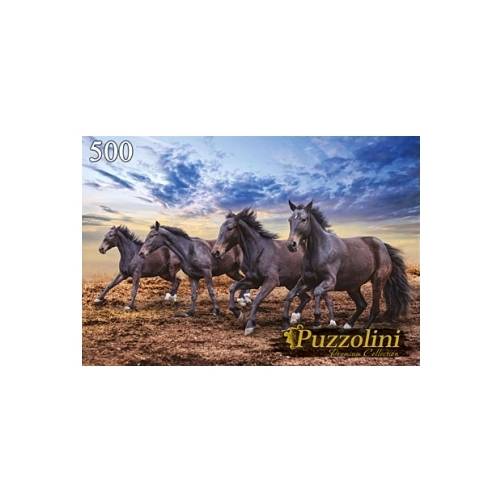 ᐉ вид бега лошади: аллюры и их разновидности - zooon.ru