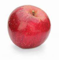Сорт яблони джонаголд, описание, характеристика и отзывы, а также особенности выращивания данного сорта
