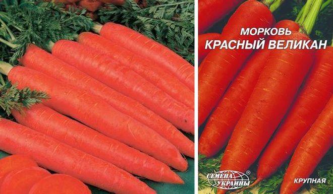 Сколько весит одна морковь? сколько весит одна морковь? - еда и кулинария - вопросы и ответы