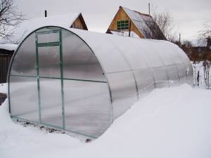 Советы, как подготовить теплицу из поликарбоната к зиме: выбор средств от фитофторы, обработка земли, уборка теплицы на зиму и укрепление крыши