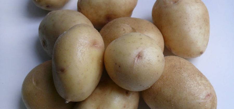 Описание сорта картофеля лабелла