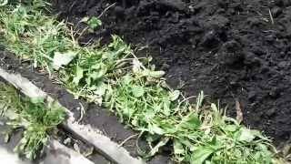Подготовка огорода к весенним посадкам: как сделать грядки