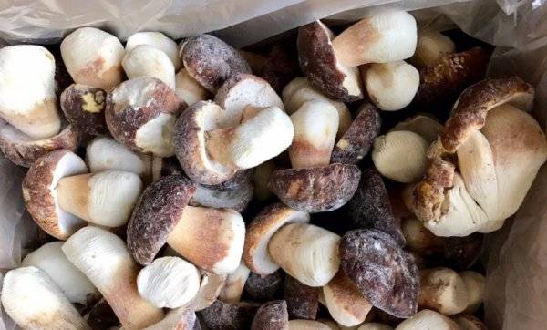 Как правильно хранить замороженные белые грибы? инструкции, рецепты +фото и видео