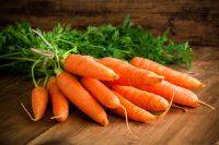 Уход за морковью в открытом грунте: что делать, чтобы был хороший урожай, как правильно проводить подкормку овоща и его полив? русский фермер