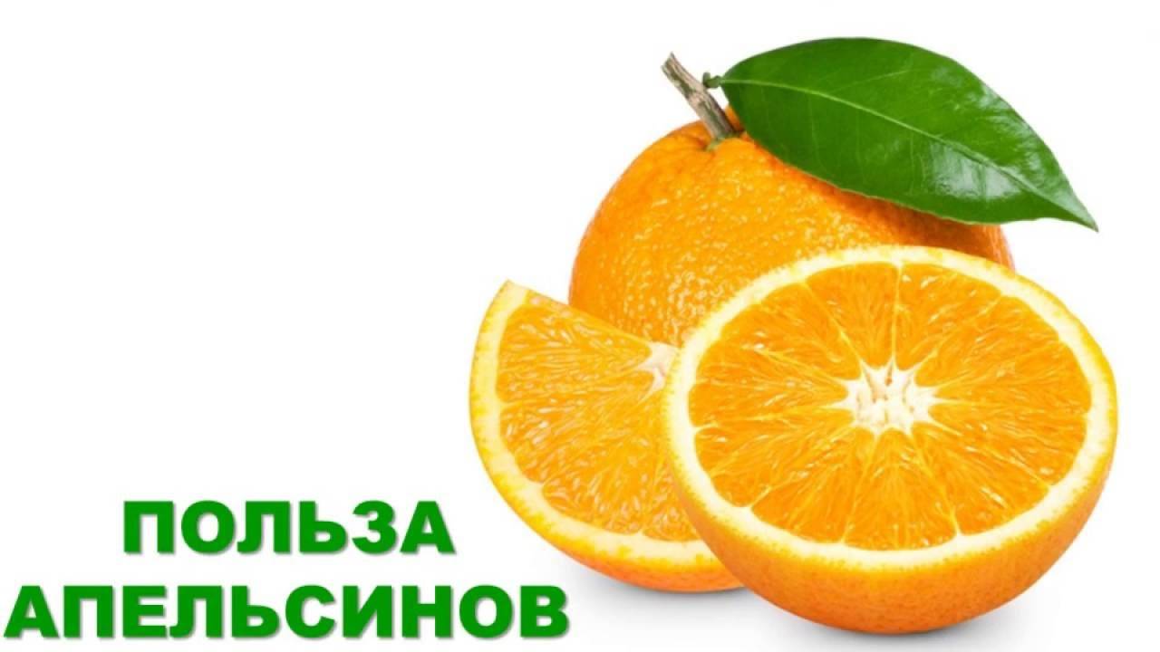 Апельсины: польза и вред для здоровья | польза и вред