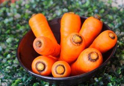 Морковь полив керосином от сорняков и правильная обработка грядок, видео и фото