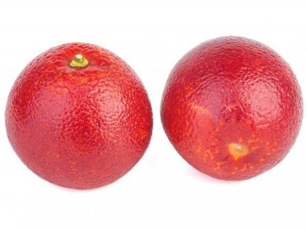 Красные апельсины на фото: сорт фрукта с красной мякотью, название и описание