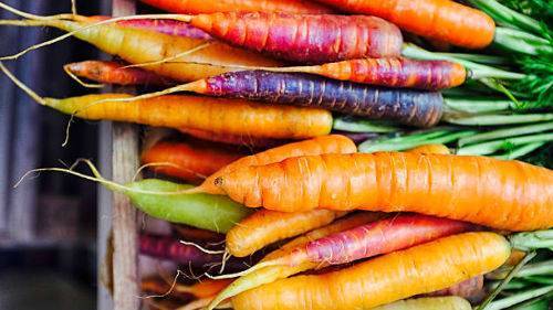 К чему снится морковь: сонник, женщине, свежая, на грядке, видеть большую, крупную, тертую, покупать, собирать, чистить, вареная