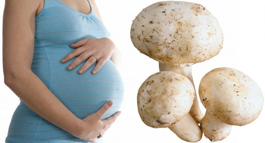 Шиповник при беременности: можно ли пить, как заваривать? | компетентно о здоровье на ilive
