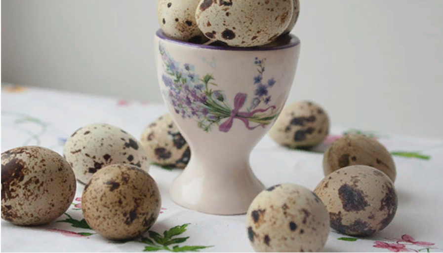 Перепелиные яйца: состав, польза и свойства перепелиных яиц. лечение перепелиными яйцами