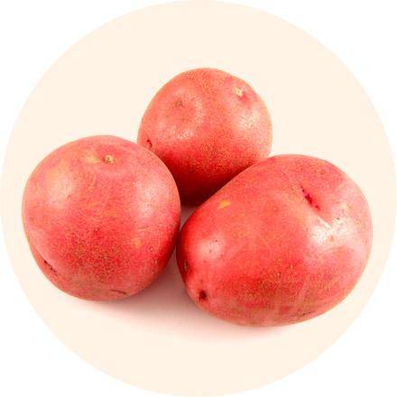 Описание сорта картофеля Романо — особенности выращивания