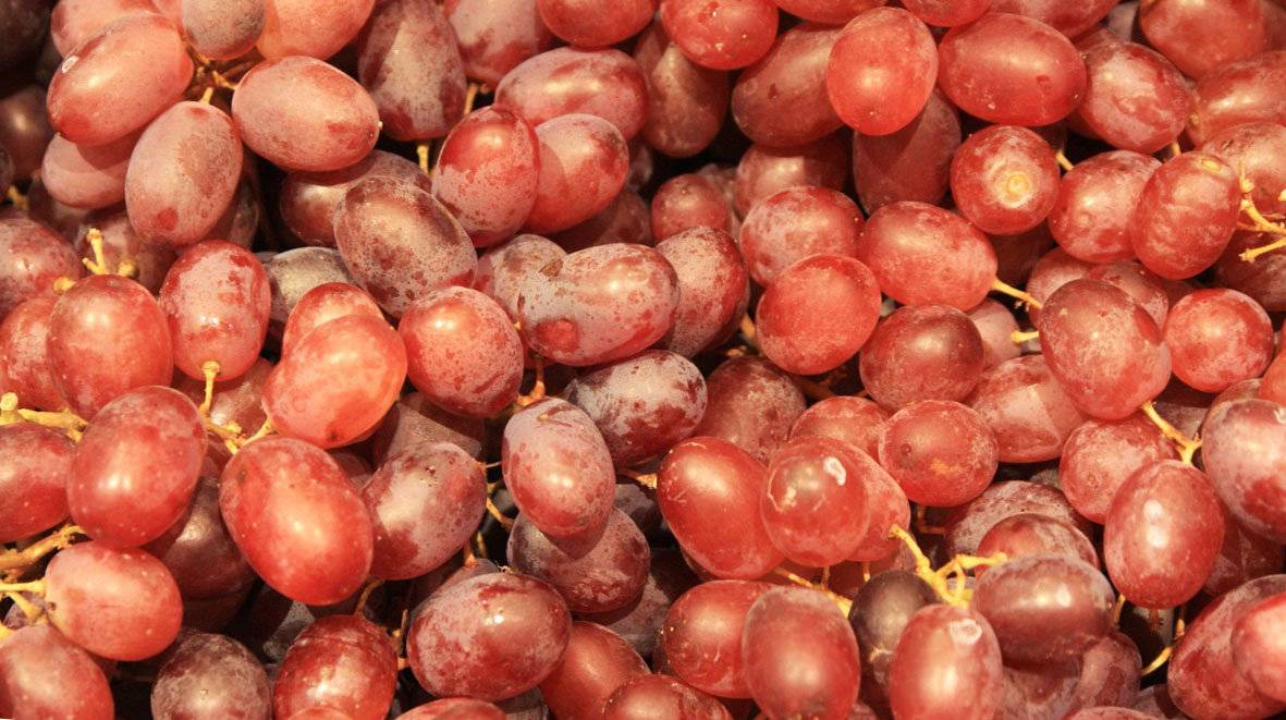 Чем полезен виноград для организма, сколько в нём калорий