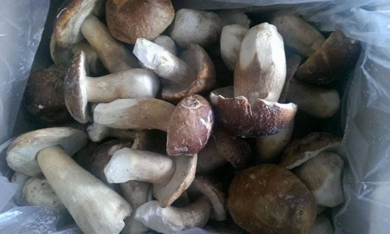 Как морозить белые грибы на зиму в морозилке, видео. лучшие рецепты заморозки белых грибов