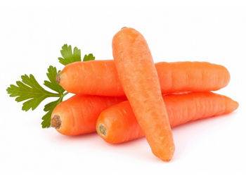 Полезна ли морковь при беременности