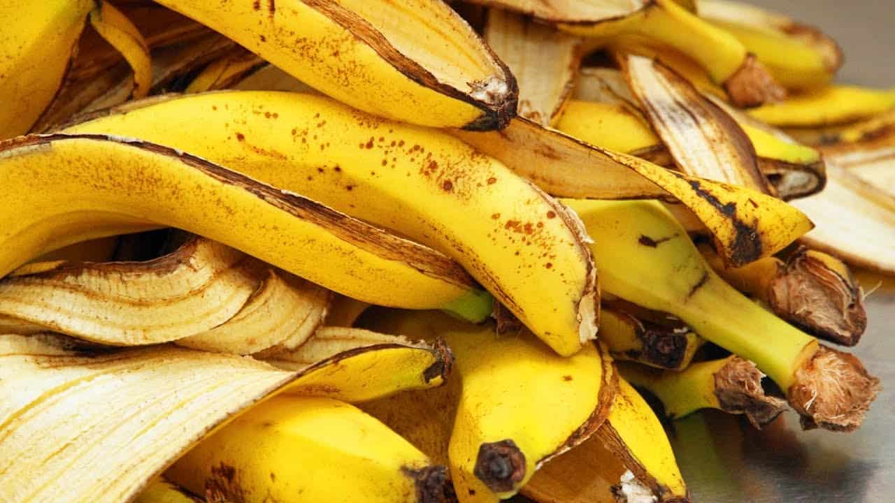 Банановая кожура как удобрение для рассады помидор