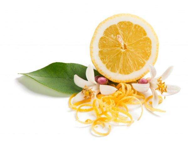Цедра лимона - как делают и где применяют