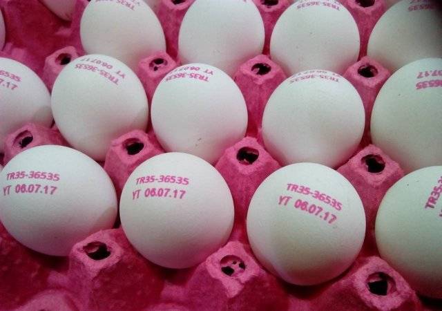 Польза и вред куриных яиц: калорийность и вес