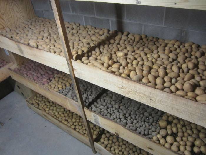 Хранение картофеля в домашних условиях. как подготовить и хранить картофель дома